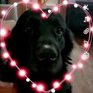 Meet your Posher, Debra